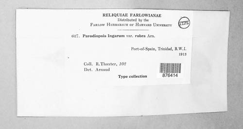 Perisporiopsidaceae image